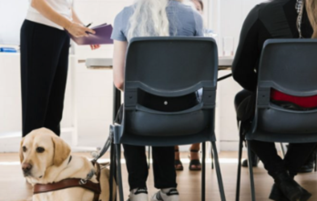 People sitting around a table learning from a woman standing at the head of the table. A guide dog lies on the floor next to a woman